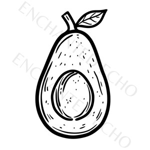 Avocado Svg + Png Fruit Vector