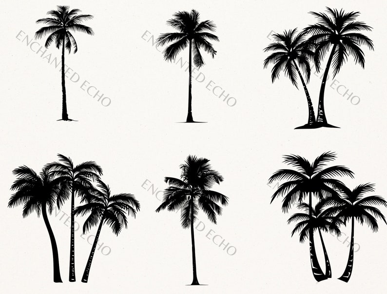 K&ouml;nnte beinhalten: Silhouette von sechs Palmen vor wei&szlig;em Hintergrund. Die B&auml;ume sind alle schwarz und haben ein tropisches Flair.