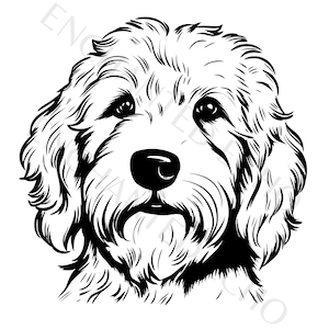 Imagen SVG de Goldendoodle Archivo SVG de perro Goldendoodle Descarga digital de alta calidad Golden Doodle SVG para tazas, tarjetas, ropa, hogar Doodle Svg