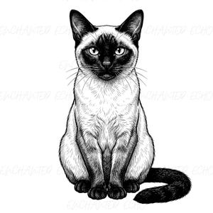 May include: A black and white ink-style illustration of a Siamese cat sitting in a forward-facing position. The cat features dark points on its ears, face, paws, and tail, with detailed line work capturing its fur texture and alert expression.