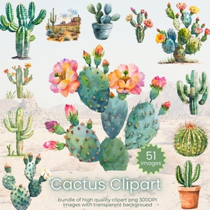 Cactus en acuarela, imágenes prediseñadas, suculentas, colección de cactus en acuarela florecientes, cactus plantados y naturales, 51 imágenes para uso comercial