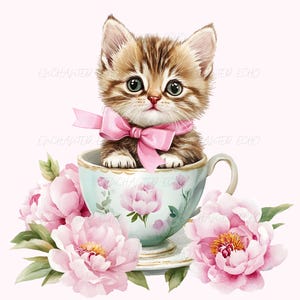 Acquerello gattino in tazza da tè Clipart - Adorabile gattino Png Rosa Peonia Gatto Png Stampabile Floreale Gatto Tea Party Arte Vintage Tazza da tè Grafica
