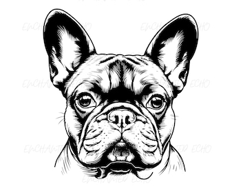 Ensemble SVG + PNG de bouledogue français - Clipart visage Frenchie, sublimation de chiot bouledogue
