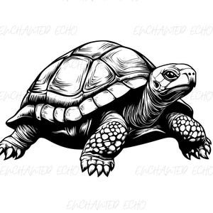 Sköldpadda SVG + PNG-set – Afrikansk sköldpadda Clipart, Sublimering av husdjur (digital nedladdning)