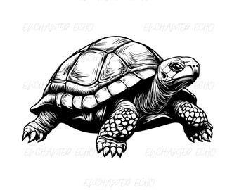 Tortoise SVG + PNG Set – African Turtle Clipart, Pet Sublimation (Digital Download)