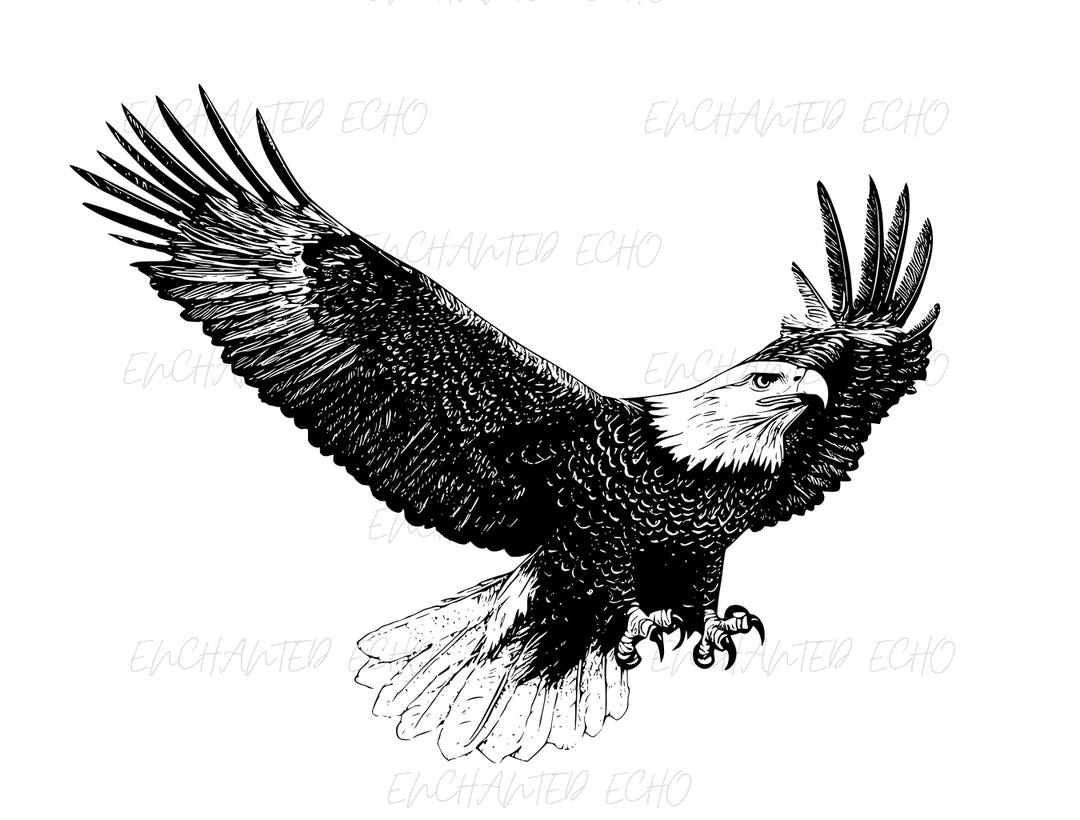 Bald Eagle Flying SVG + PNG Set - American July 4th Vector - Etsy
