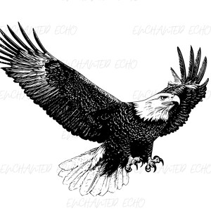 Bald Eagle Flying SVG + PNG Set - American Eagle Flying Svg Bald Eagle Svg Eagle Png Flying Eagle Clipart Flying Eagle Svg Eagle Silhouette