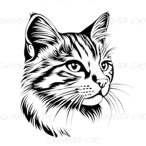 Cat Face SVG + PNG + Pdf + Jpg + Dxf Set - Cat Head Svg Cat Head Graphics Peeking Cat Svg Pet Svg Design Cat Illustration Kitten Face Svg