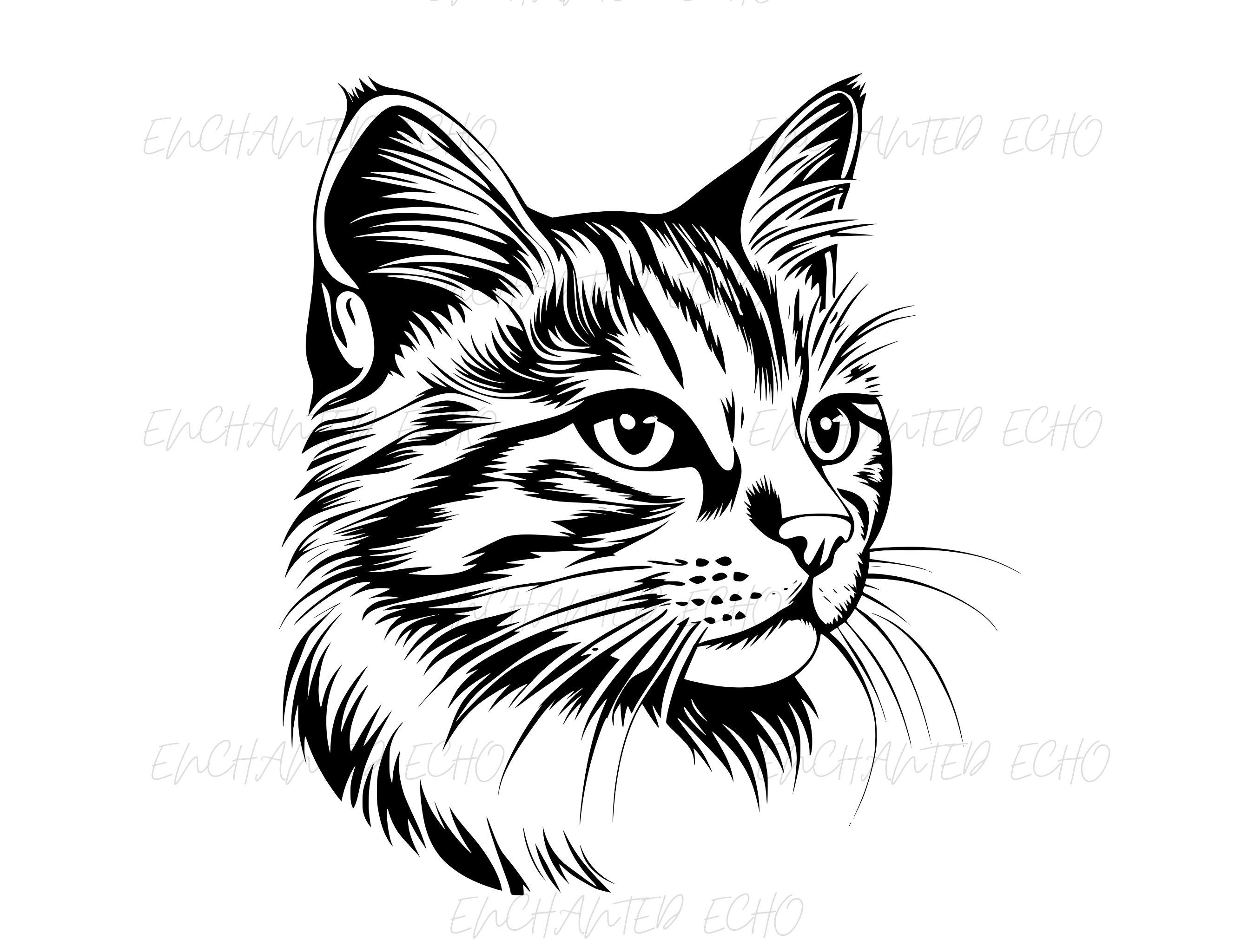 ¿Qué CARA pone tu GATO cuando siente DOLOR? 🐱 | Fíjate en 5 COSAS de su  cara 👁️👄👁️ #TestFelino, image size:2700x2050