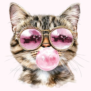 Chat rose bubble Png Chat drôle meme Png Chat tigré Png Amoureux des chats Png Bubble Gum Png Chat avec des lunettes de soleil Png Chat sarcastique Png Bubble Gum Png