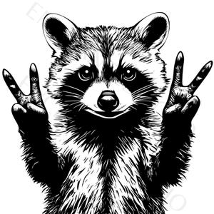 May include: Black and white illustration of a raccoon giving the peace sign with both hands. The raccoon has detailed fur and expressive eyes, set against a clean white background. The artwork is a graphic design.