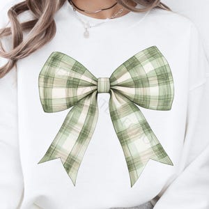 May include: A white sweatshirt with a green and white plaid bow design.