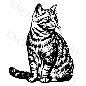 Gato atigrado sentado SVG, hermoso gatito PNG, linda raza de gato Clipart, gato imprimible