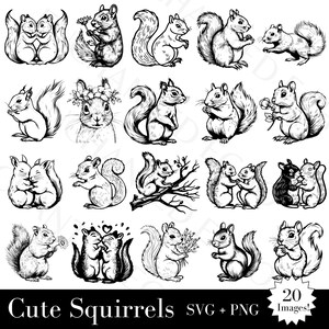 Écureuils SVG & PNG Bundle - 20 images d'écureuil mignon, 40 fichiers au total - Silhouette d'écureuil des bois de la forêt pour usage commercial et personnel