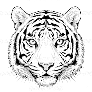 Könnte beinhalten: Eine schwarz-weiße Strichzeichnung eines Tigerkopfes in Frontalansicht. Das Design zeigt detaillierte Fellstrukturen, ausgeprägte Schnurrhaare und kräftige Streifen im Gesicht, wobei der Text Enchanted Echo schwach im Hintergrund wiederholt wird.