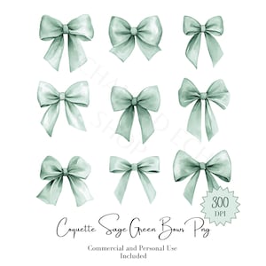 Ragazza morbida estetica acquerello verde salvia fiocchi png, uso commerciale fiocchi rosa clipart, delicata clip art, femminile civettuola download digitale