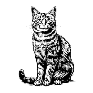 Tabby Cat SVG Image Tabbycat Sitting Png Cat Breeds Svg Cute Tabby Cat Vector Digital Cat png for Mugs, Cards, Home, Clothes Cat Clipart