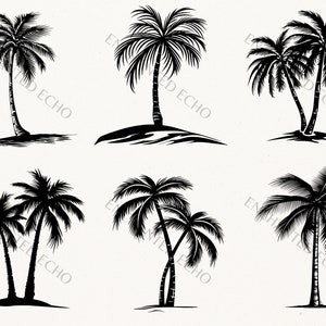 K&ouml;nnte beinhalten: Sechs Schwarzwei&szlig;-Silhouetten-Illustrationen von Palmen. Die Palmen sind in verschiedenen Posen, einige sind einzelne B&auml;ume und einige sind Paare von B&auml;umen.