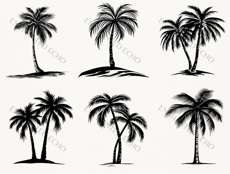 K&ouml;nnte beinhalten: Sechs Schwarzwei&szlig;-Silhouetten-Illustrationen von Palmen. Die Palmen sind in verschiedenen Posen, einige sind einzelne B&auml;ume und einige sind Paare von B&auml;umen.