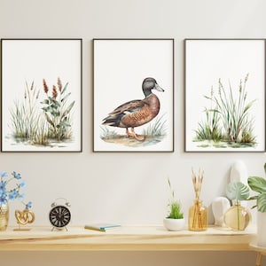 Elegant Watercolor Mallard Duck Clipart - 67 PNG - Realistic Duck Clipart - Digital Hunting Duck Illustrations for Commercial & Personal Use image 9