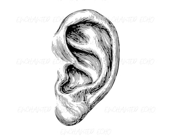 Realistische oor Svg + Png Set - hoorlogo, oorprofiel Clipart (digitale download + commercieel gebruik)