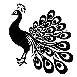 孔雀のシルエット SVG + PNG セット - 美しい孔雀の鳥 SVG 孔雀の羽 SVG 孔雀のクリップアート 孔雀のデジタル きれいな鳥のクリップアート