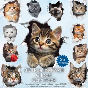 Katzen 3D Loch in einem Wand Clipart Bündel - 35 hochwertige PNGs - Katzenrassen Png, 3D Clipart, Katzengesicht Clipart, Kätzchen Gesicht Png, kommerzielle Nutzung
