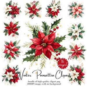 Aquarel poinsettia clipart set-16 winterbloemen poinsettia pngs-vintage kerst clipart-winter bloemsierkunst voor commercieel gebruik