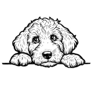 Adorable Peeking Goldendoodle SVG + PNG Set - Cute Peeking Dog Svg - Dog Face Svg - Peeking Goldendoodle Png - Peeking Puppy Svg - Cute Pup