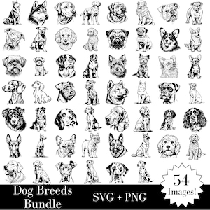 Hunderassen SVG & PNG Bundle - 54 Hundegrafiken inklusive, 108 Dateien insgesamt - Süße Hunde Sitzen, Welpen Gesichter, Hundeköpfe, Hunde Porträts, Hunde Png