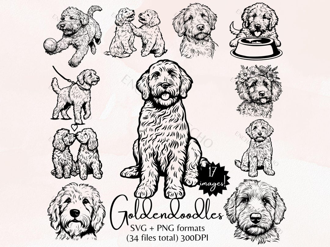 Goldendoodles SVG and PNG Bundle - Golden Doodle Puppies Clipart Pack ...