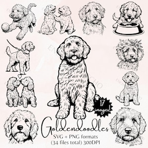 Goldendoodles SVG e PNG Bundle - 17 grafiche di cani incluse, 34 immagini totali - Cuccioli di Goldendoodles carini, ritratti per uso commerciale