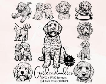 Goldendoodle Dog Head Design | Svg Png Dxf Eps Pdf | Vector Graphic Cut ...