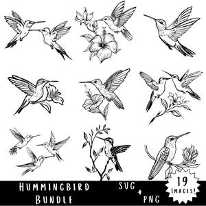 Hummingbird SVG & PNG-bundel - 19 afbeeldingen, 38 bestanden in totaal - Flying Bird Svg - Hummingbird Flowers Clipart - commercieel gebruik toegestaan