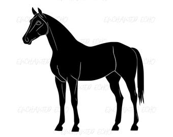 Standing Horse Silhouette SVG + PNG Set - Equestrian Logo Vector