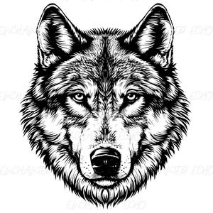 Wolf Face SVG + PNG Set - Wolf Vector Animal Illustration - Wolf Head Cut File - Wolf Mascot Outline for Personal and Commercial Use