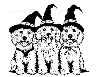 Conjunto de imágenes SVG y PNG de Golden Doodles de Halloween - Sublimación de perros brujos, imágenes prediseñadas de disfraz de bruja de Goldendoodle