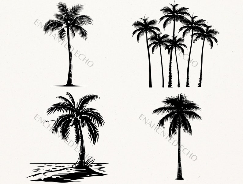 K&ouml;nnte beinhalten: Silhouetten von vier Palmen, wobei sich eine Palme auf der linken Seite des Bildes und drei Palmen auf der rechten Seite des Bildes befinden. Die Palmen sind alle schwarz vor einem wei&szlig;en Hintergrund.