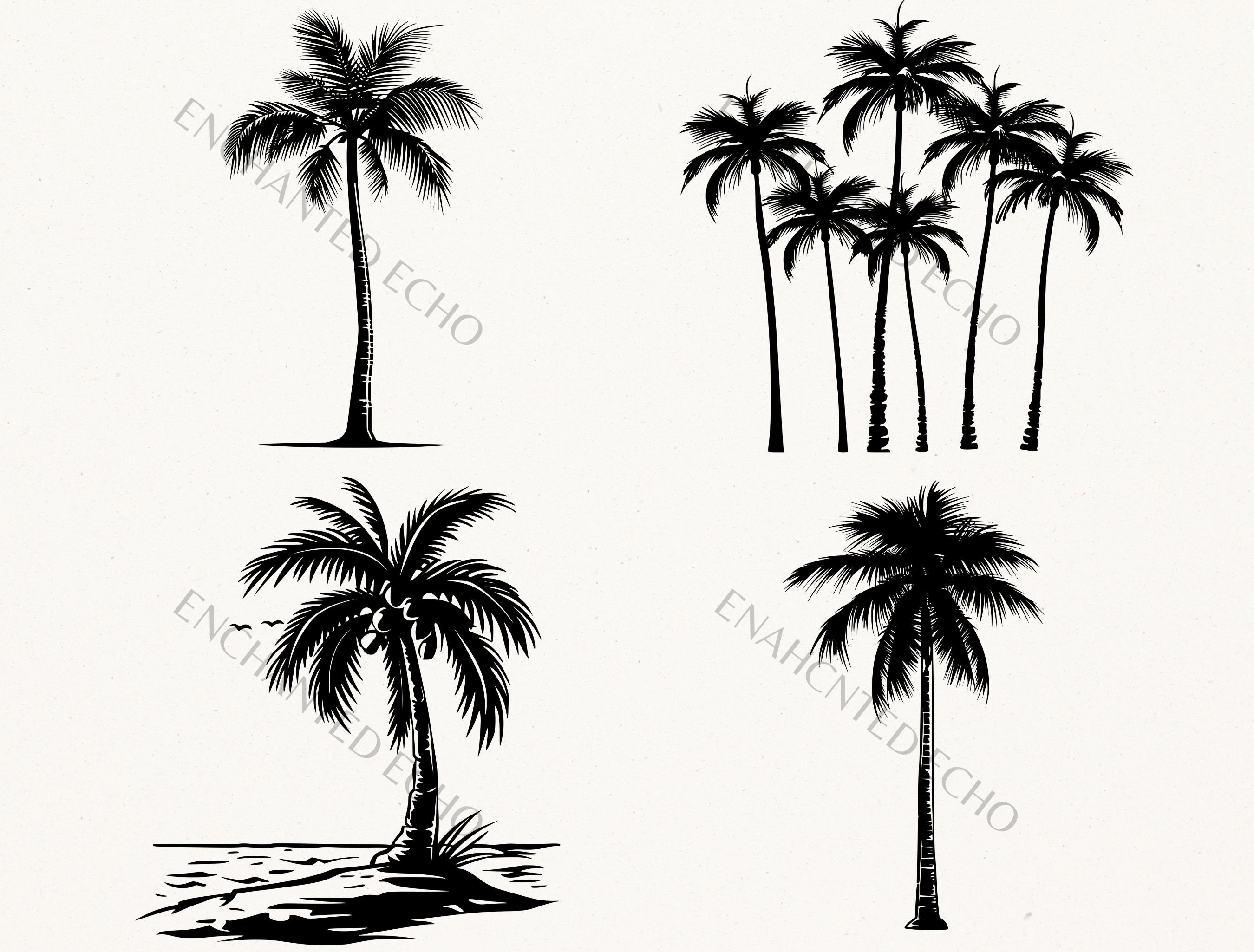 Tropical Palm Tree Silhouette SVG & PNG Bundle, Coastal Trees Clipart ...