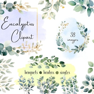 Aquarel eucalyptus clipart 38 PNG groen set babydouche groene bladeren PNG bloemen hoekrand bruiloft uitnodiging groen bundel