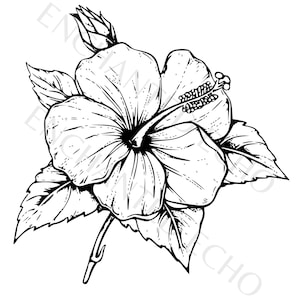 Wild Hibiscus Floral SVG - Elegant Botanical Design - Commercial Use for Clothes & Products - Floral SVG for Crafts
