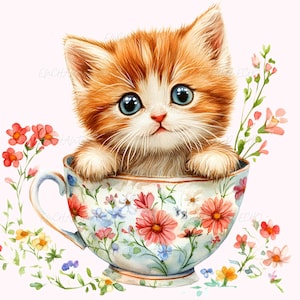 Gatto soriano arancione in tazza da tè Clipart - Adorabile gattino Png Fiori di campo Gatto Clipart Carino tazza da tè Gattino Png Tea Party Clipart Tazza da tè vintage Png