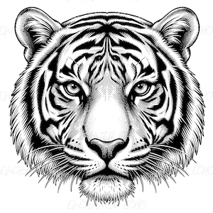 Könnte beinhalten: Eine schwarz-weiße grafische Illustration eines Tigerkopfes in Frontalansicht. Das Kunstwerk zeichnet sich durch detaillierte Linienführung und Punktierung aus, um die Gesichtszüge wie Augen, Nase, Schnurrhaare und das Streifenmuster zu definieren.