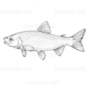 Realistic Trout Fish SVG + PNG Set - Trout Fishing Svg Trout PNG Trout Clipart Trout Graphic Swimming Rainbow Trout Svg Fishing Svg