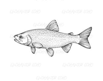 Realistic Trout SVG + PNG Set - Trout Fishing Sublimation, Fish Vector Logo Clipart (Digital Download)