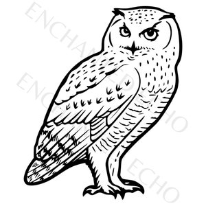 Harfang des neiges Svg, hibou mignon Clipart, hibou Silhouette Png, vecteur de chouette hibou, clipart hibou pour usage commercial