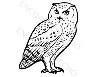 Sneeuwuil Svg + Png I Uil Clipart Vector