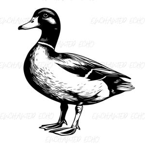 Mallard Duck SVG + PNG Set - Mallard Duck Png Mallard Duck Clipart Duck Hunting Svg Mallard Duck Design Mallard Svg File Waterfowl Svg