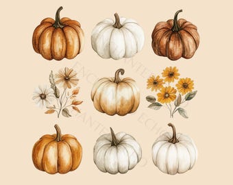 Kürbisse und Blumen 3x3 PNG - Herbst Wildblumen Kürbis Clipart, Herbst Vibes Sublimation (Digitaler Download)