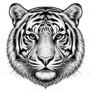 Puede incluir: Una ilustración gráfica en blanco y negro de una cabeza de tigre mirando al frente. La obra presenta un detallado trabajo de líneas y sombreado cruzado para definir la textura del pelaje, las rayas faciales, los bigotes y los ojos intensos.